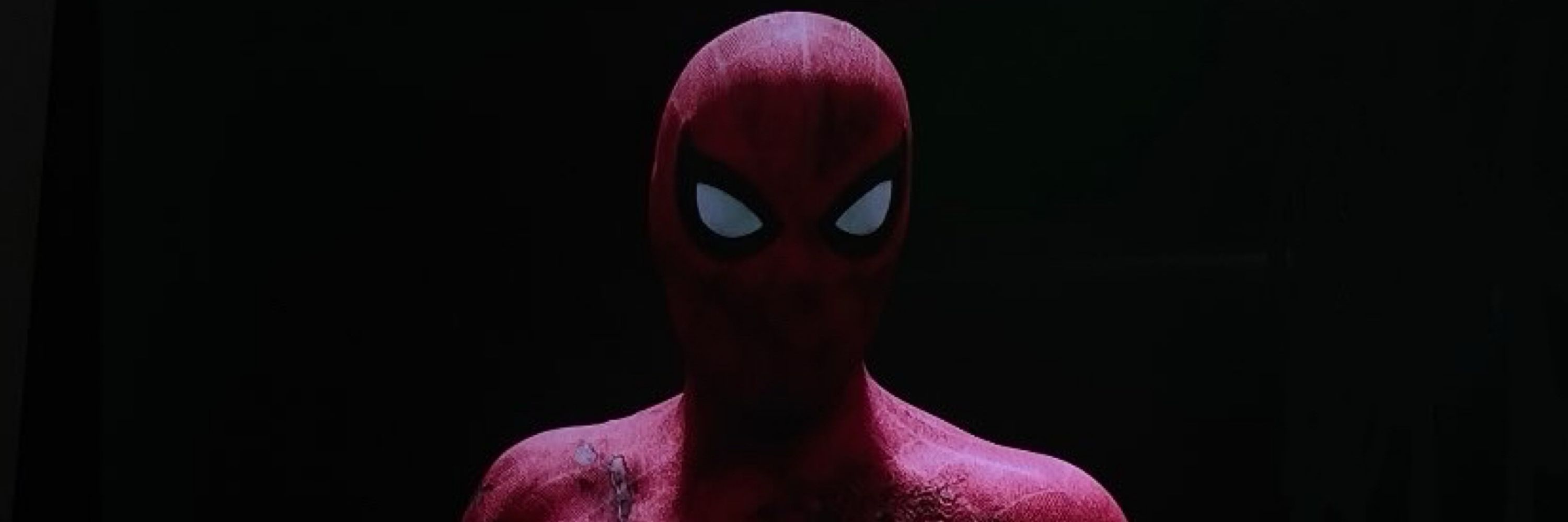 spidergi