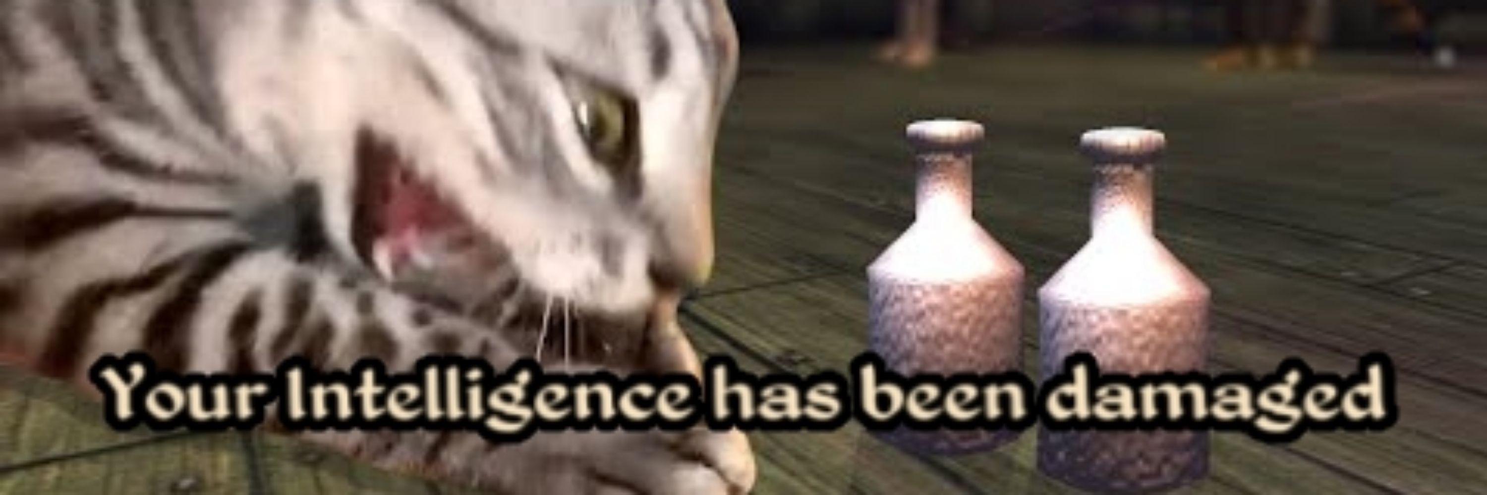 Memes on Skooma