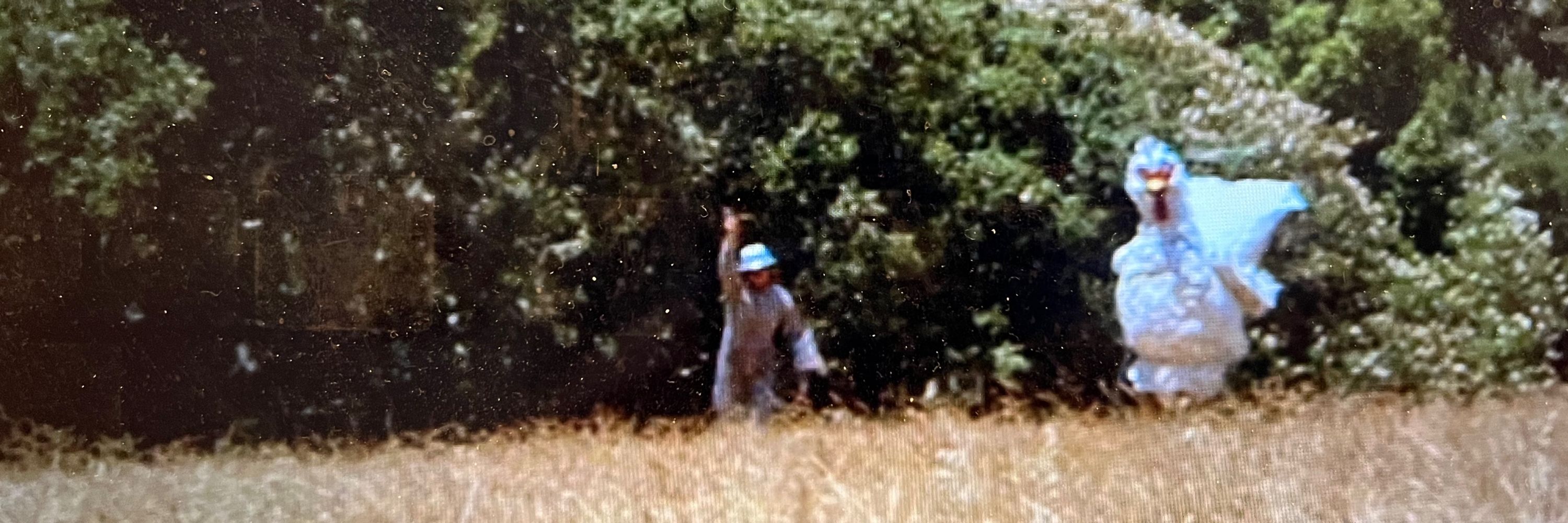 Enrique Saad