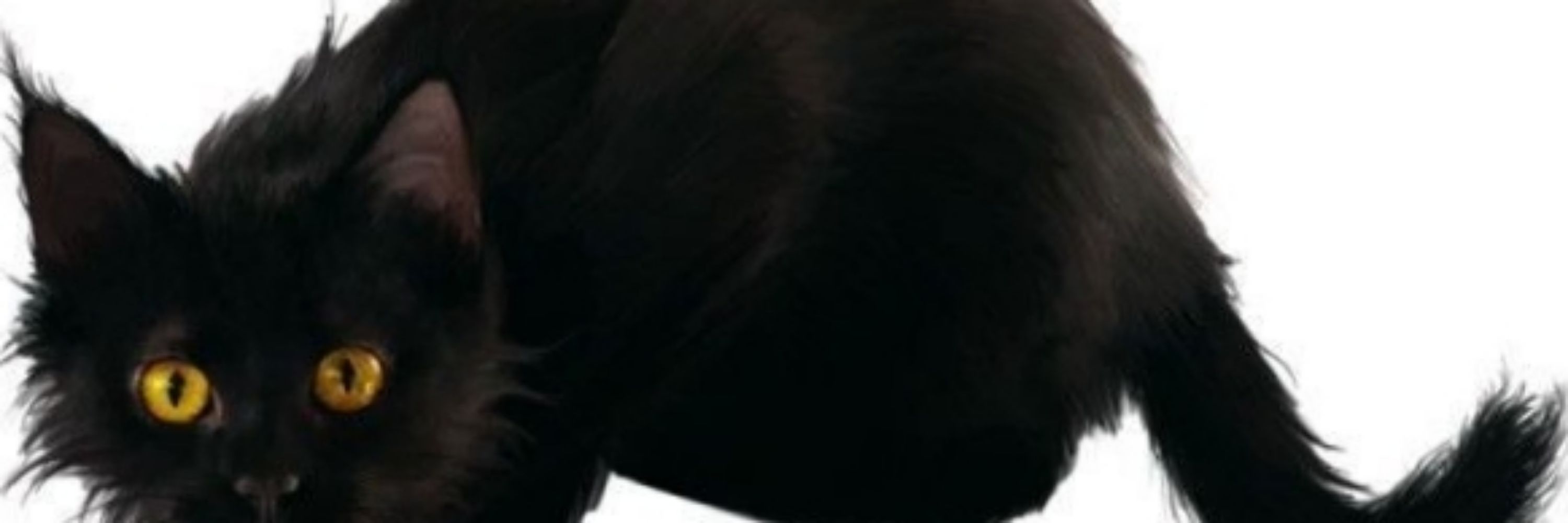 Edgar NSFW 