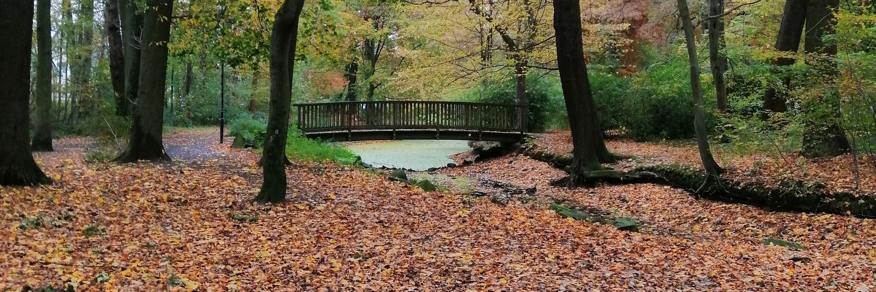 assbach