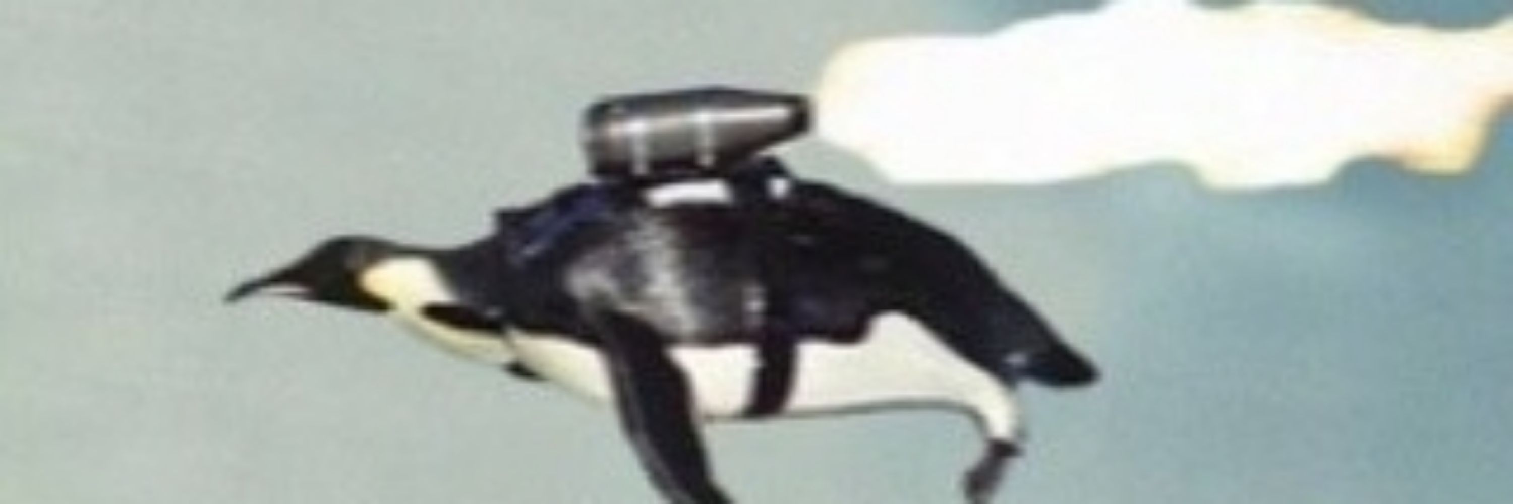 쿠냑