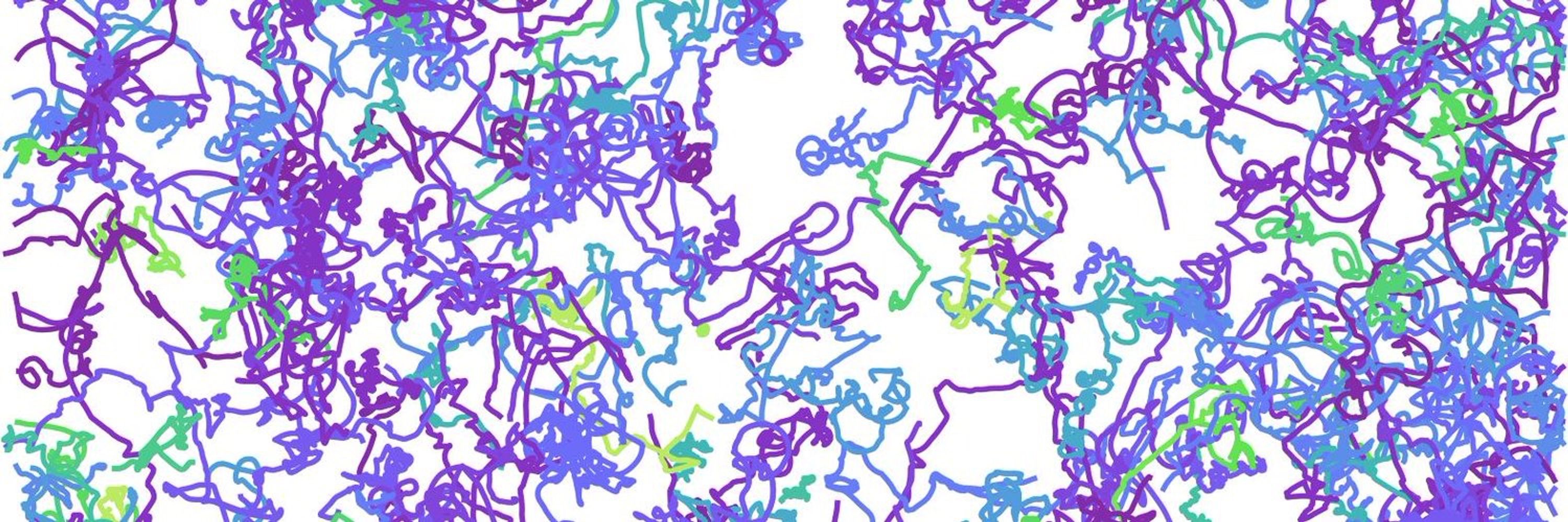 Emonet Lab