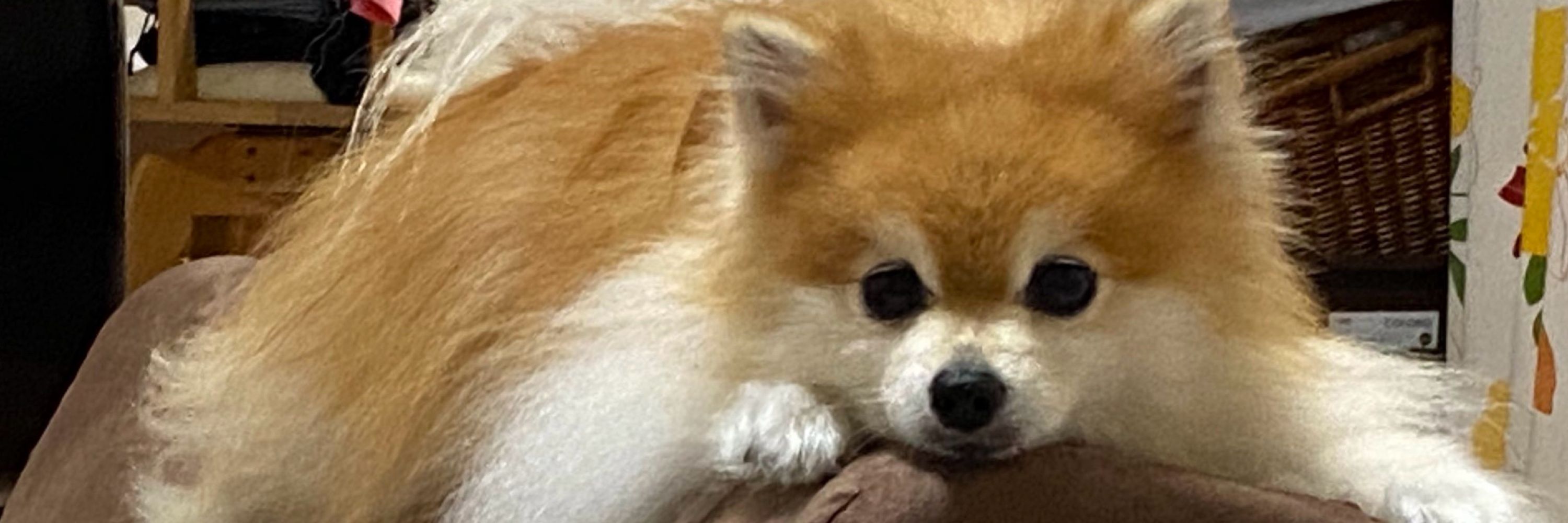 あ
