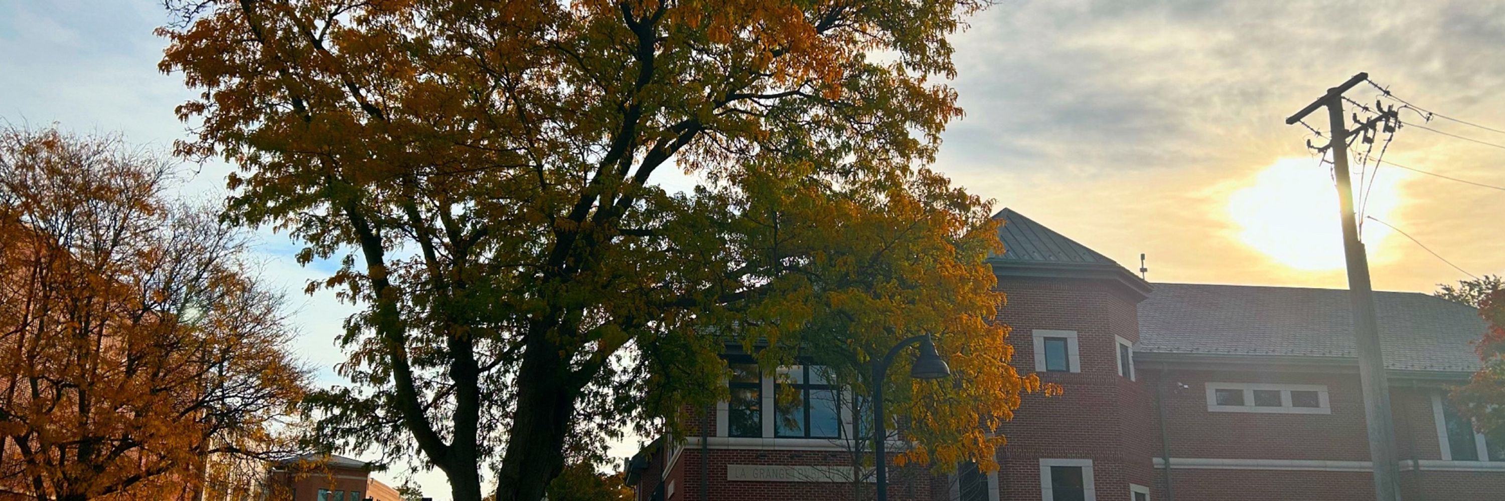 La Grange Public Library