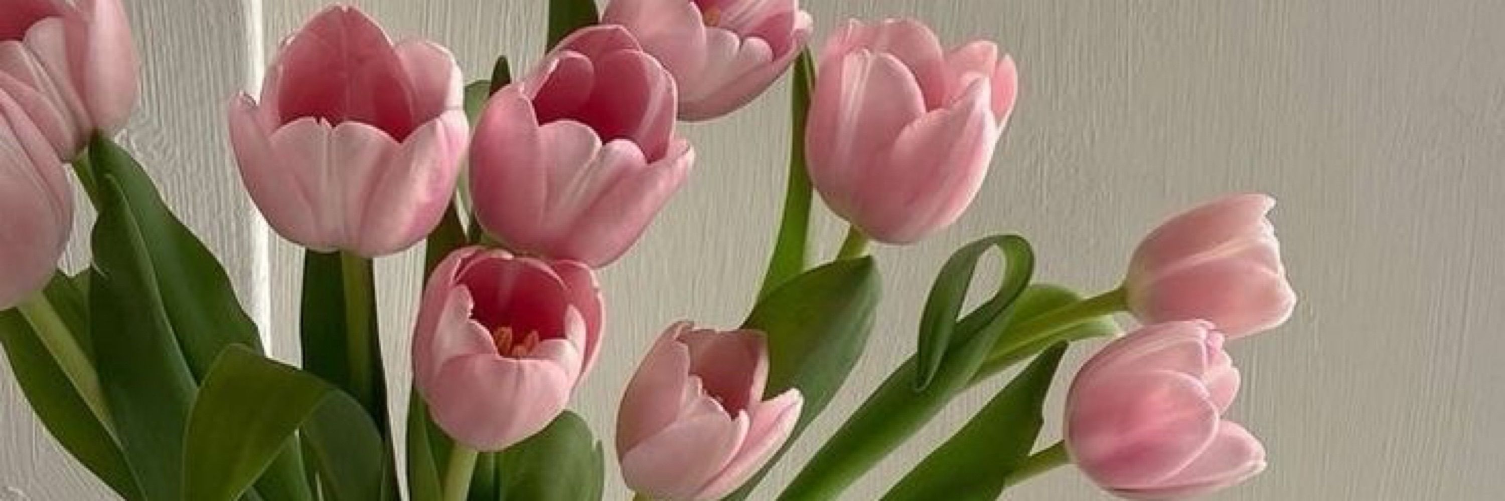 mad 🌷