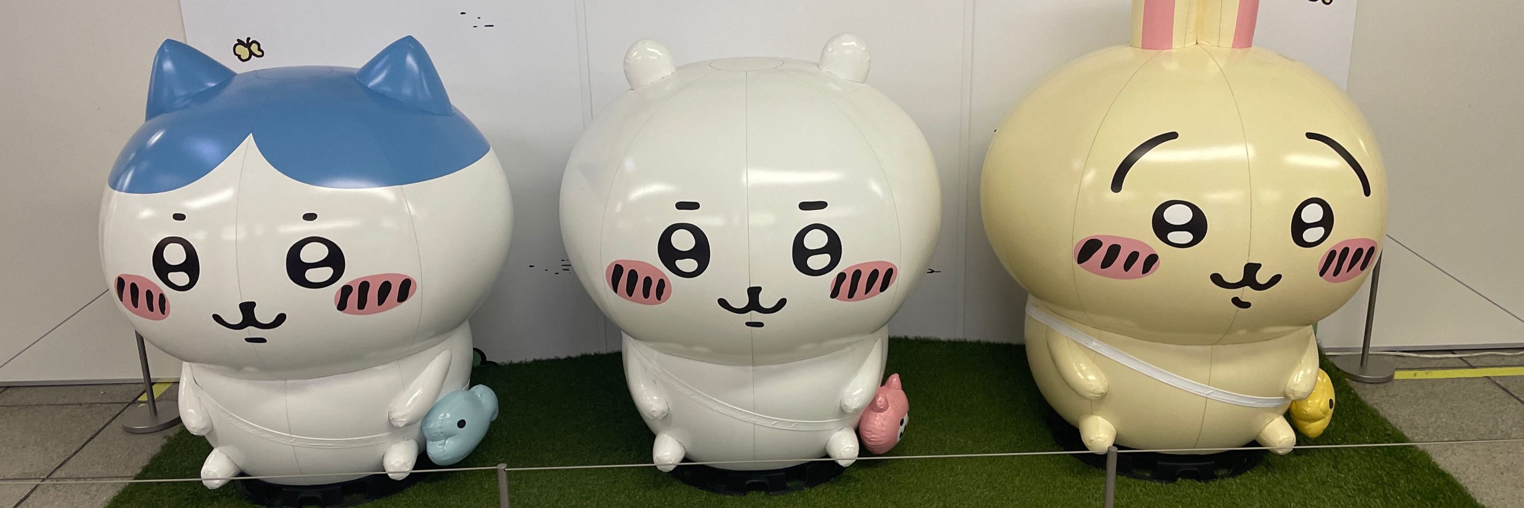はる。