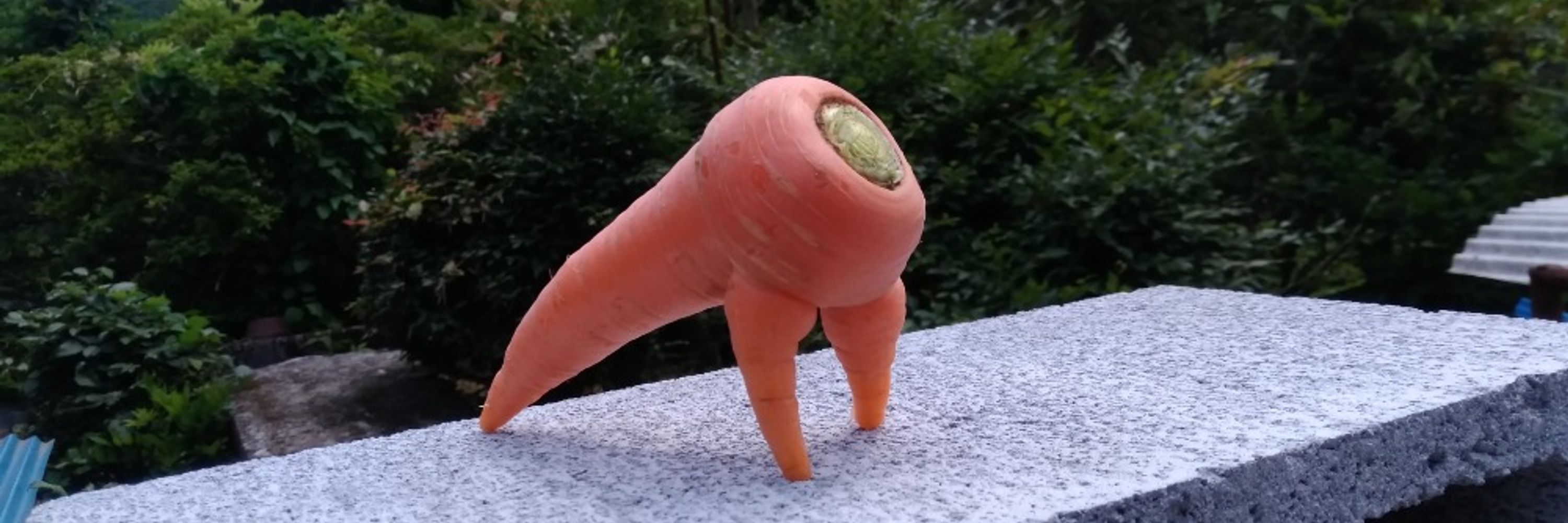 がつつ