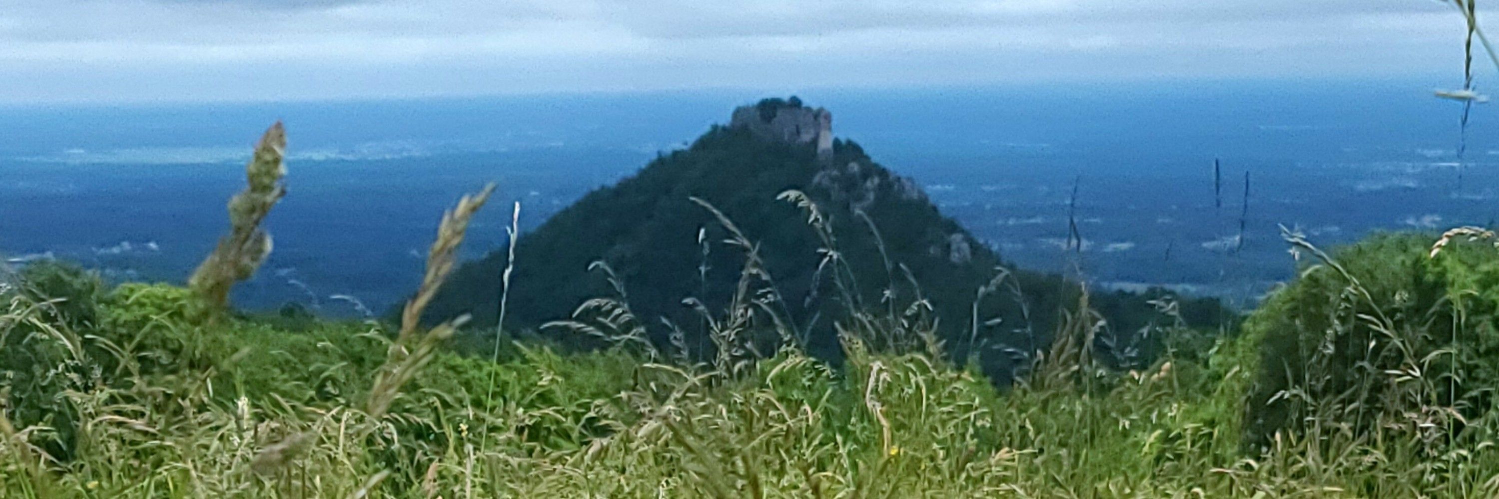 Tomo Pušćak