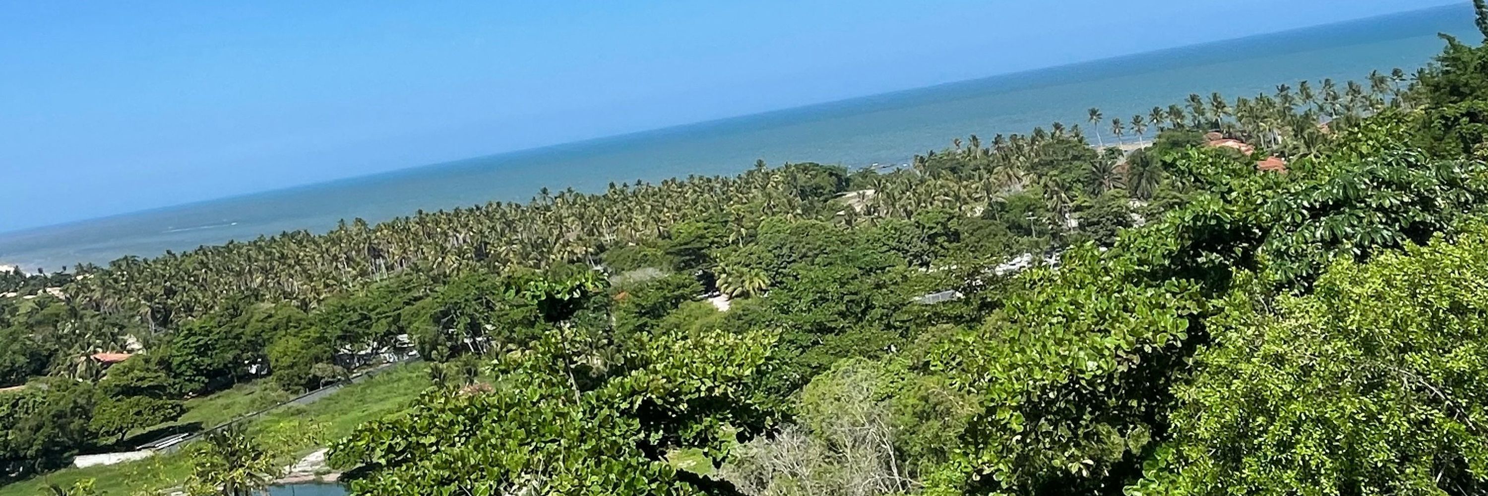 Jota depressivo
