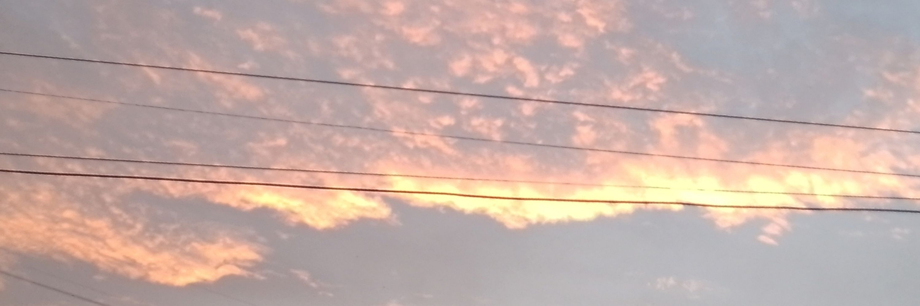 Shagei
