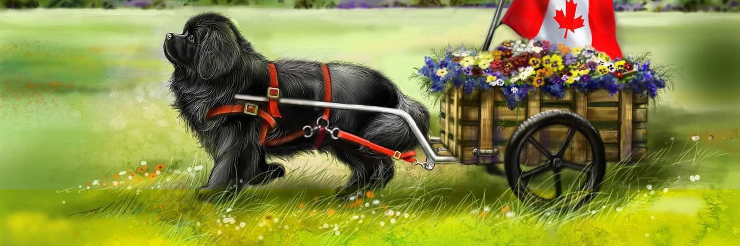 BlackDogBarnyard