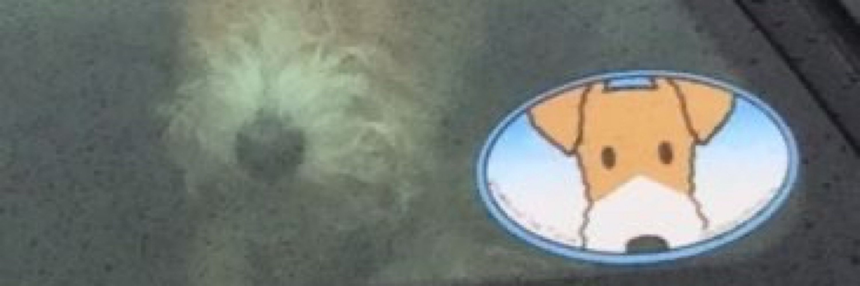 7575