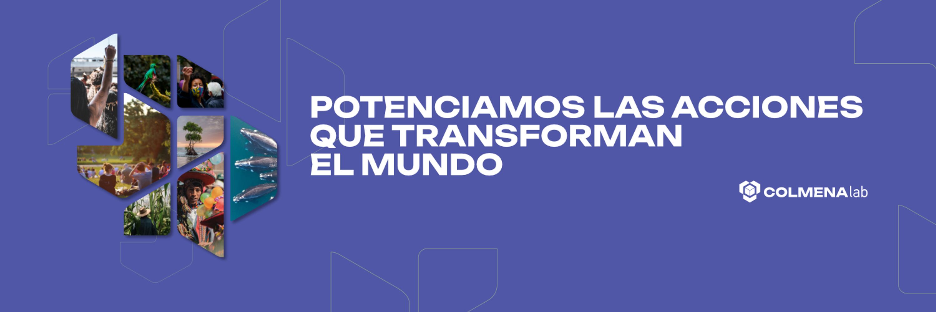 Colmena Lab