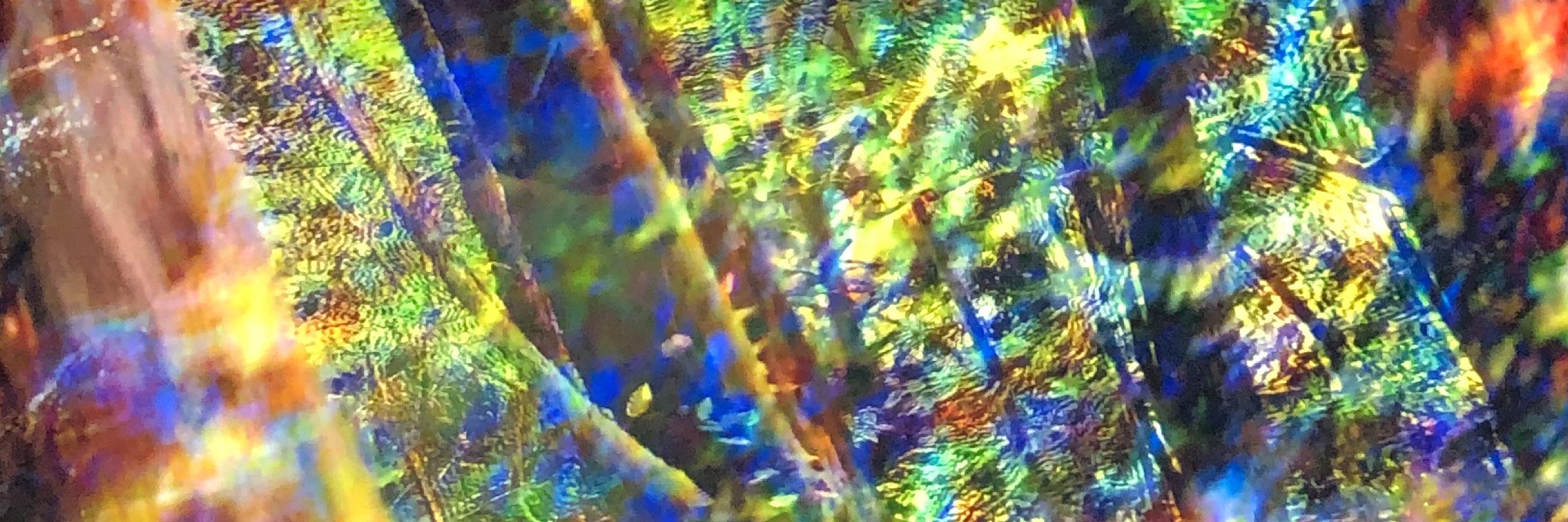 Mild Fractal