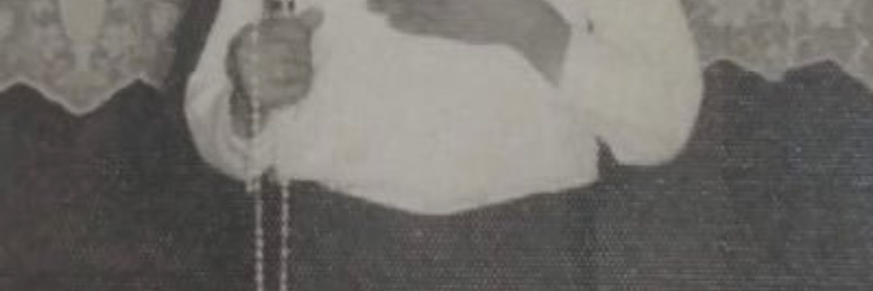 heitor jasko