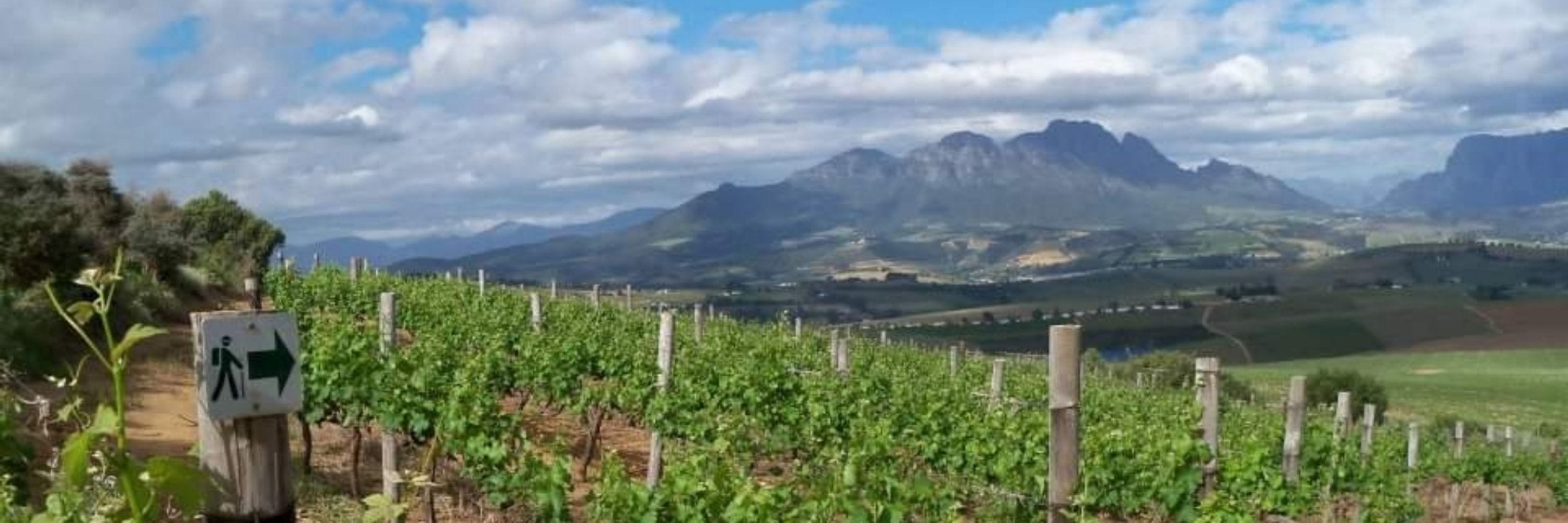 WINELANDS