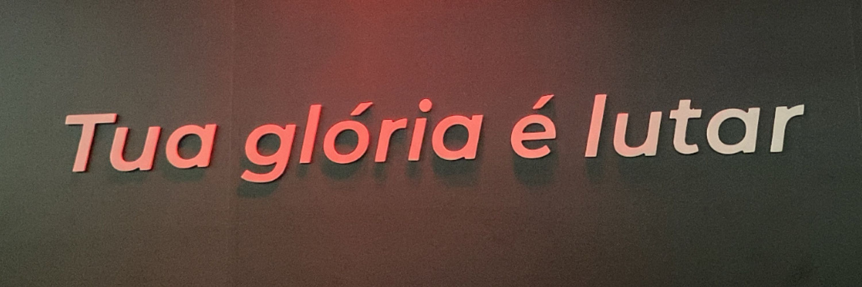 thiaguinho 