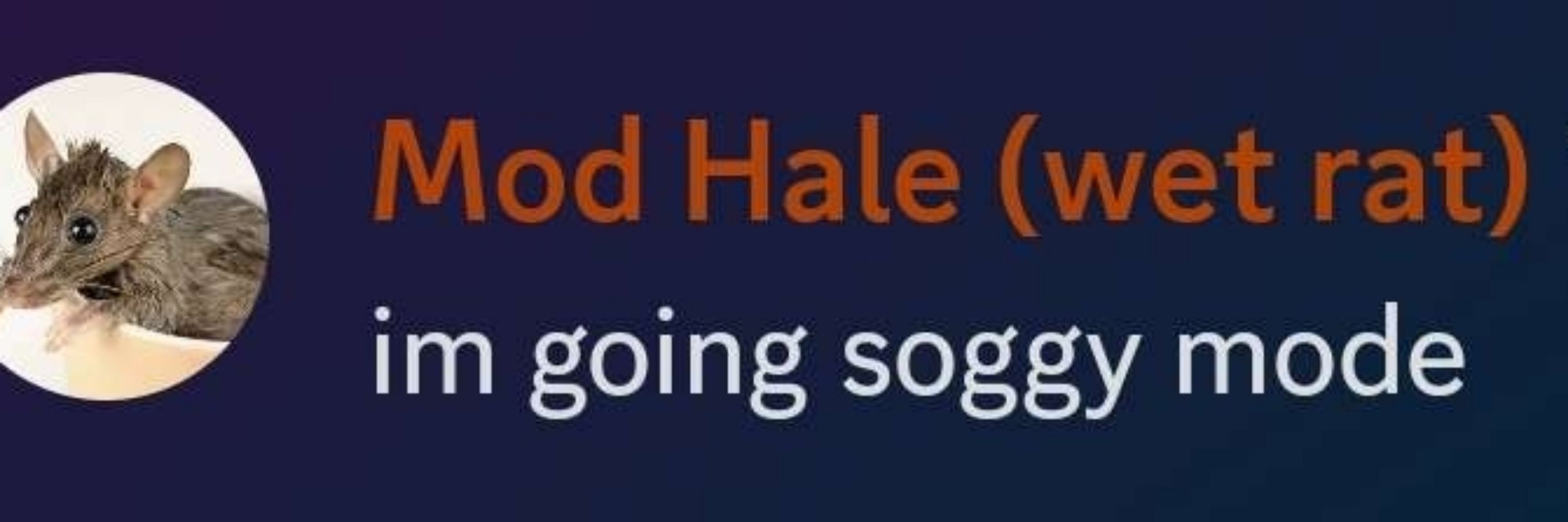 Hale, Dog of the Wood