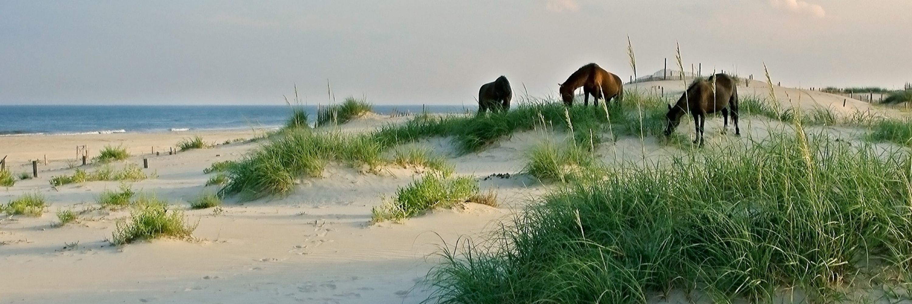 The Outer Banks NC
