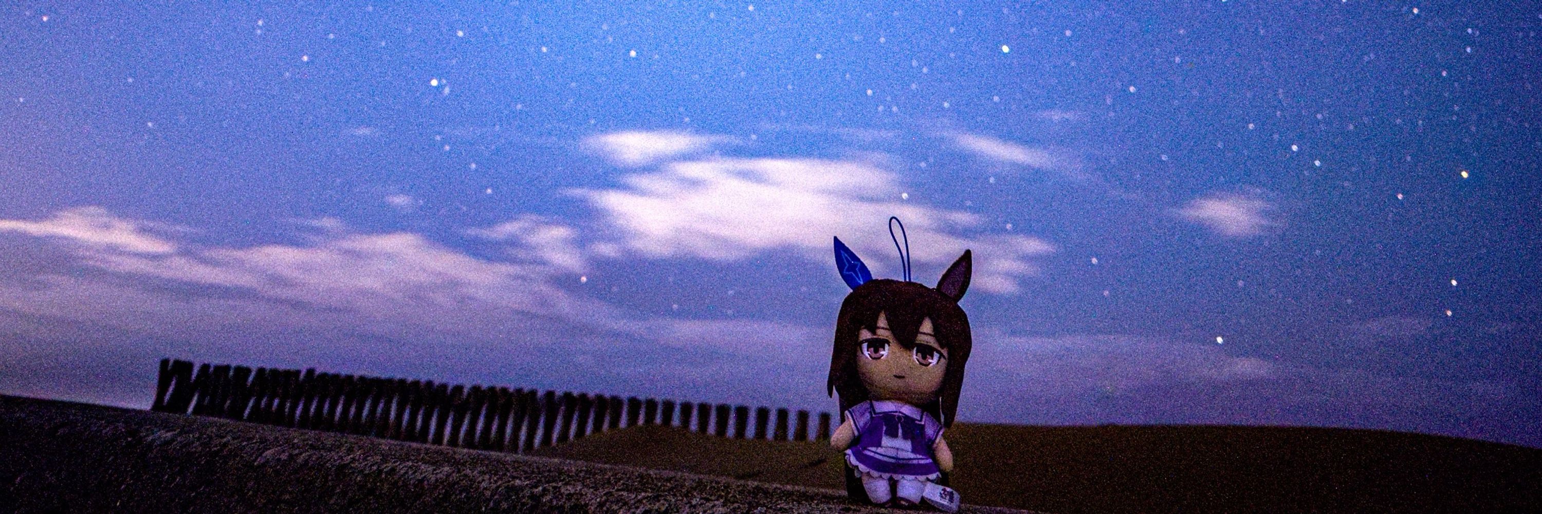 ぶるーぷ