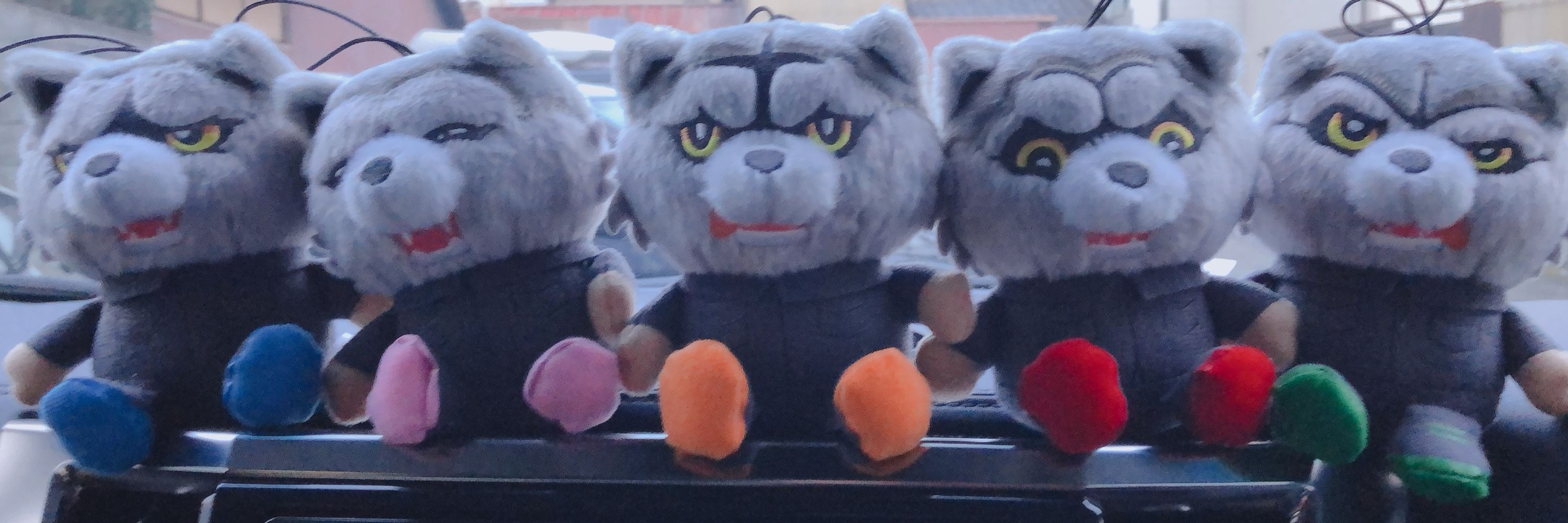 🐺ときぼん🐺(鞠鯖カピリス)