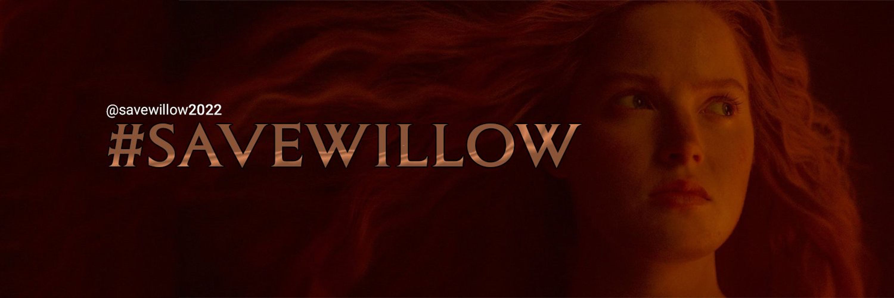 Save Willow 