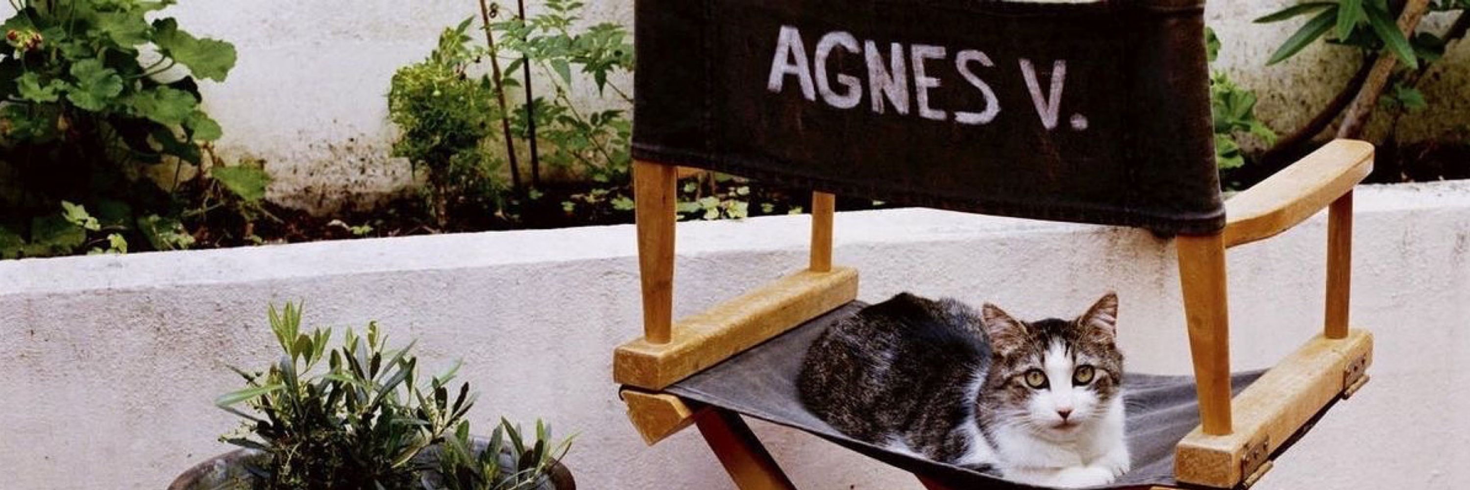Acervo Agnès Varda 