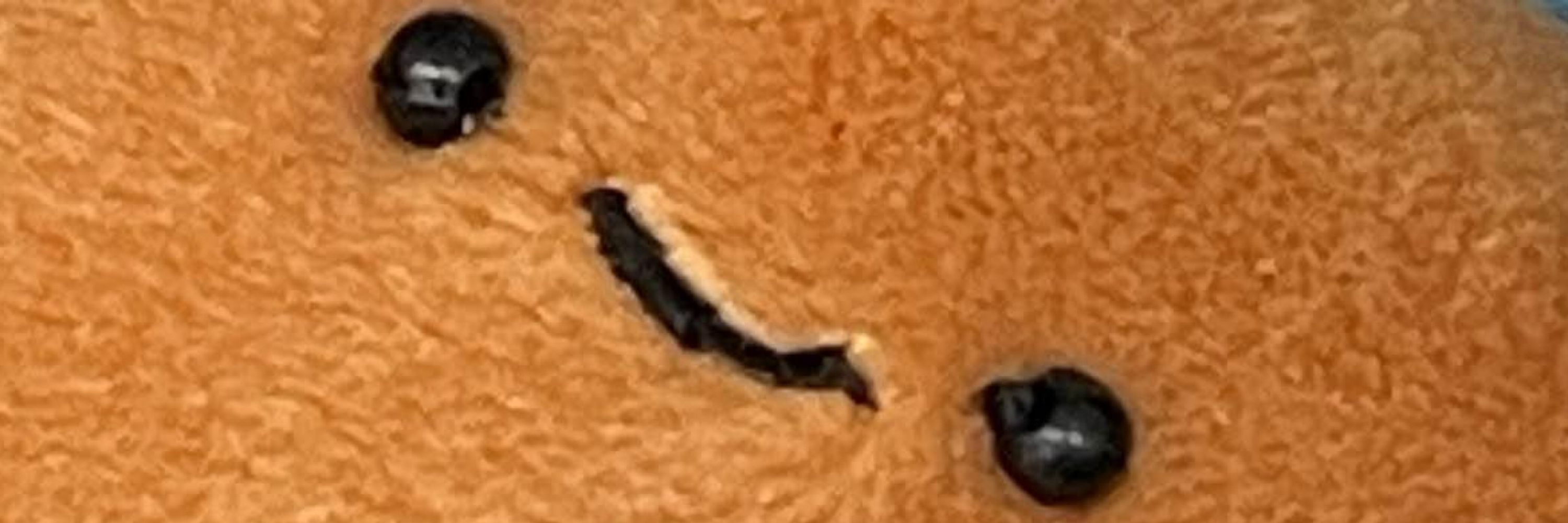 NuggyMan