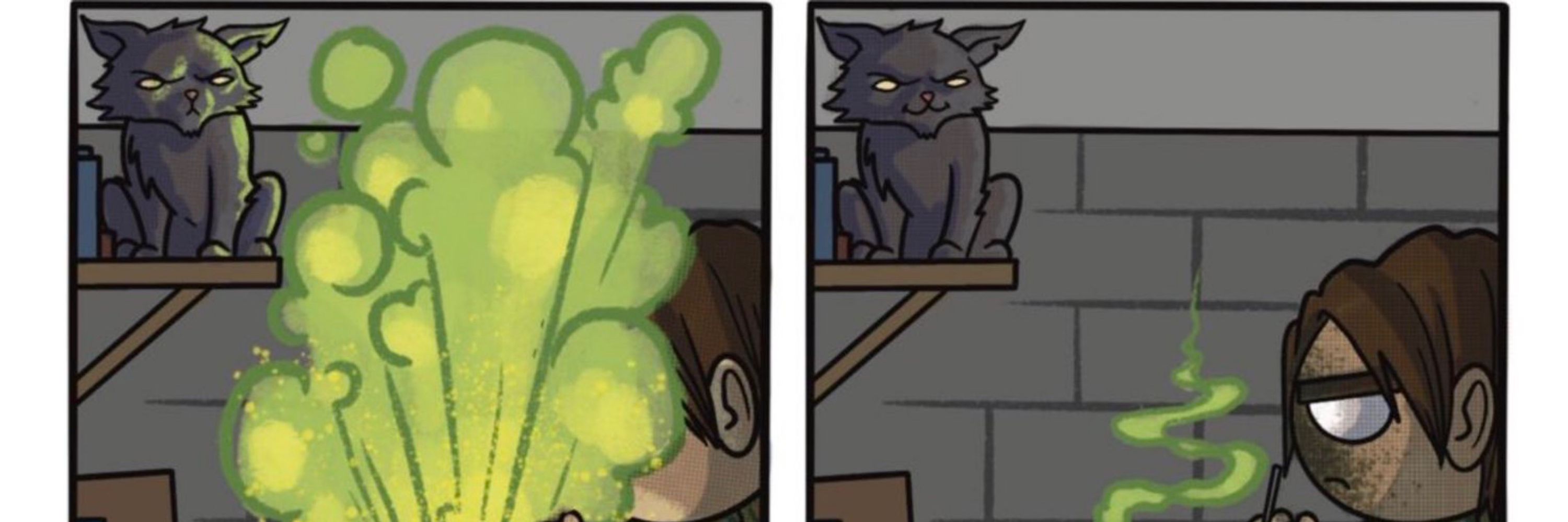 The dread cat Mister