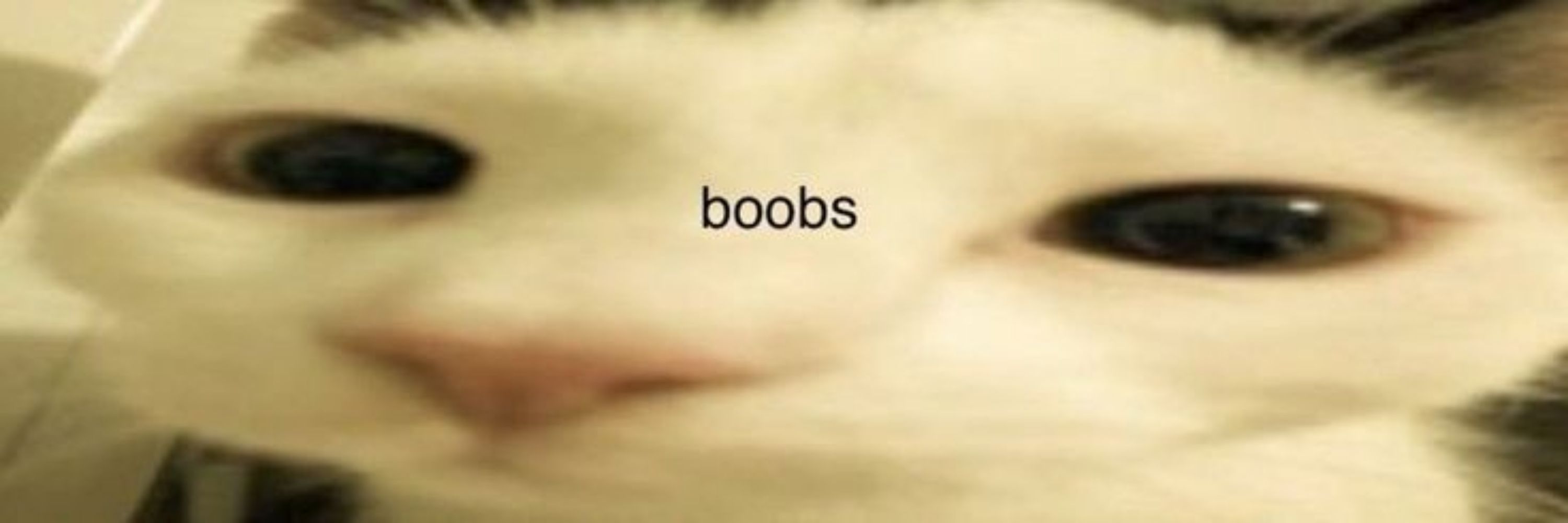 keep the beans cool