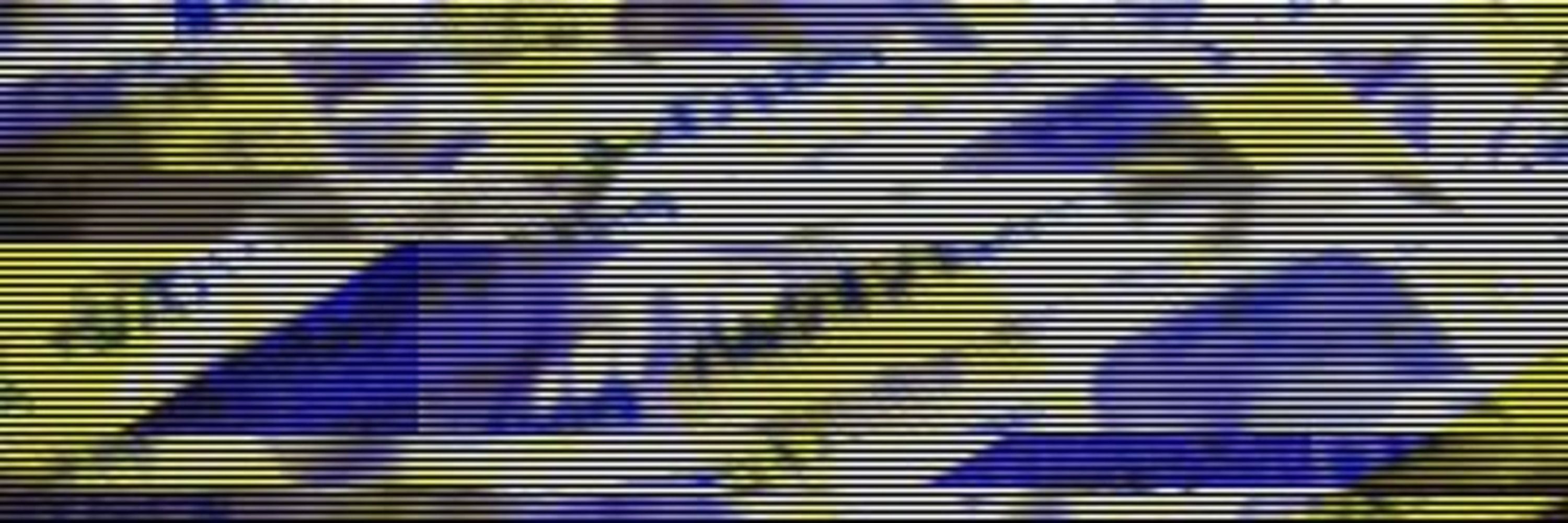 南条えちか