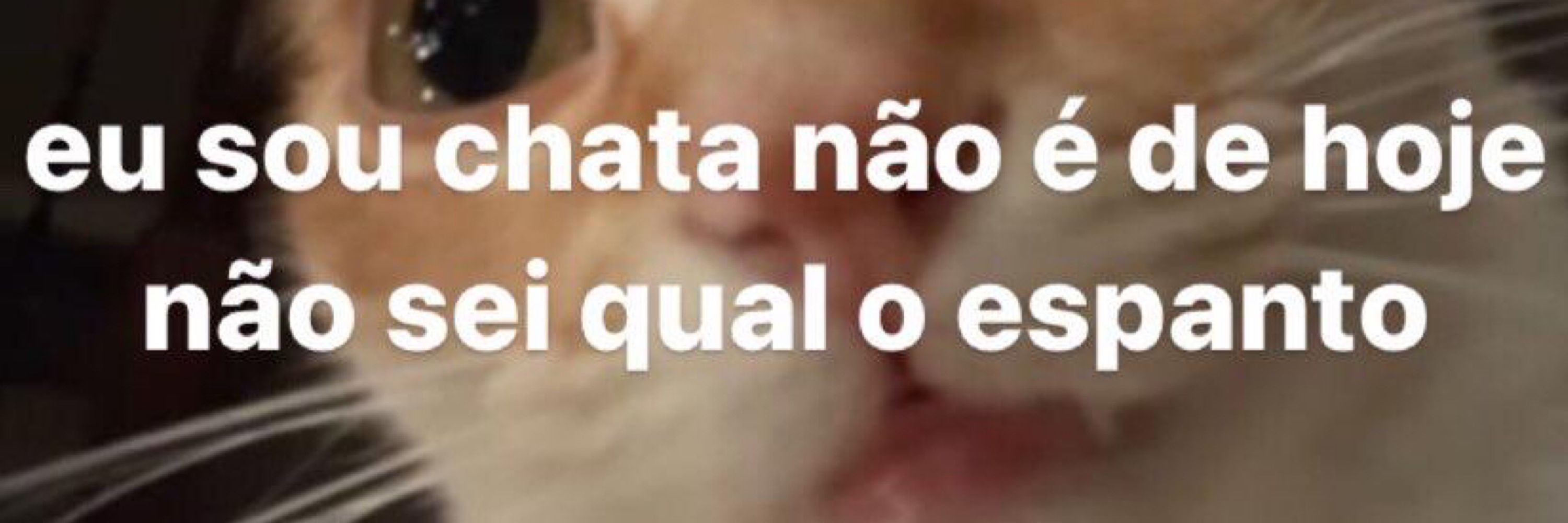 Raynha 👸🏻