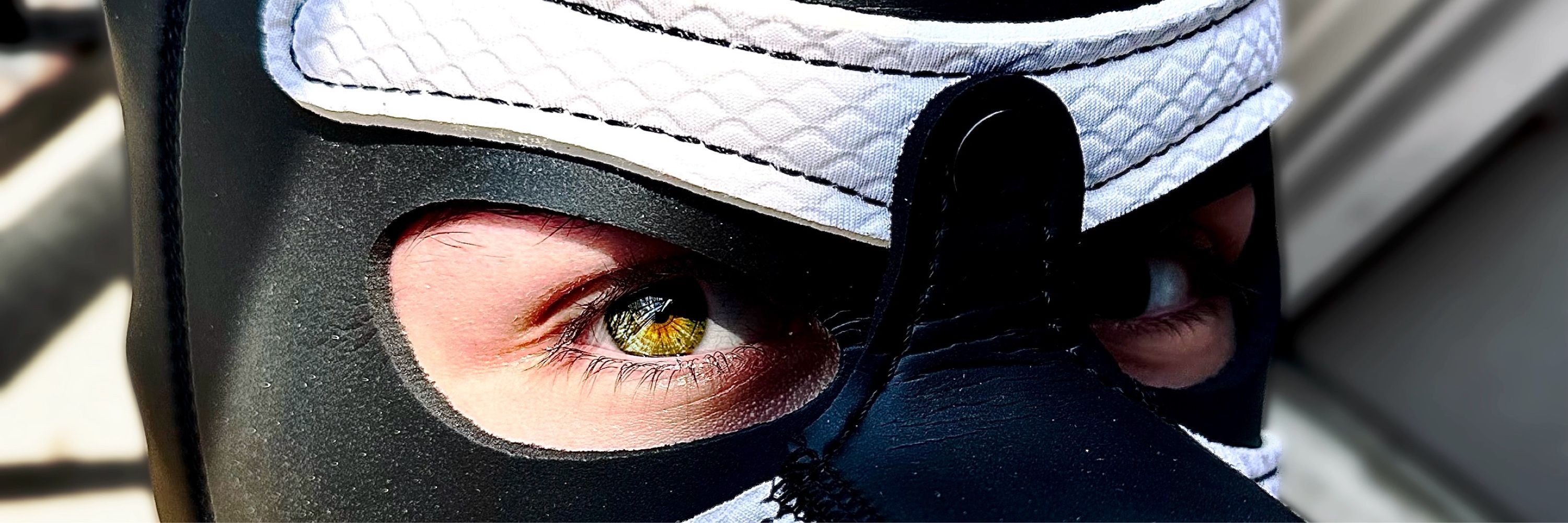 Altair