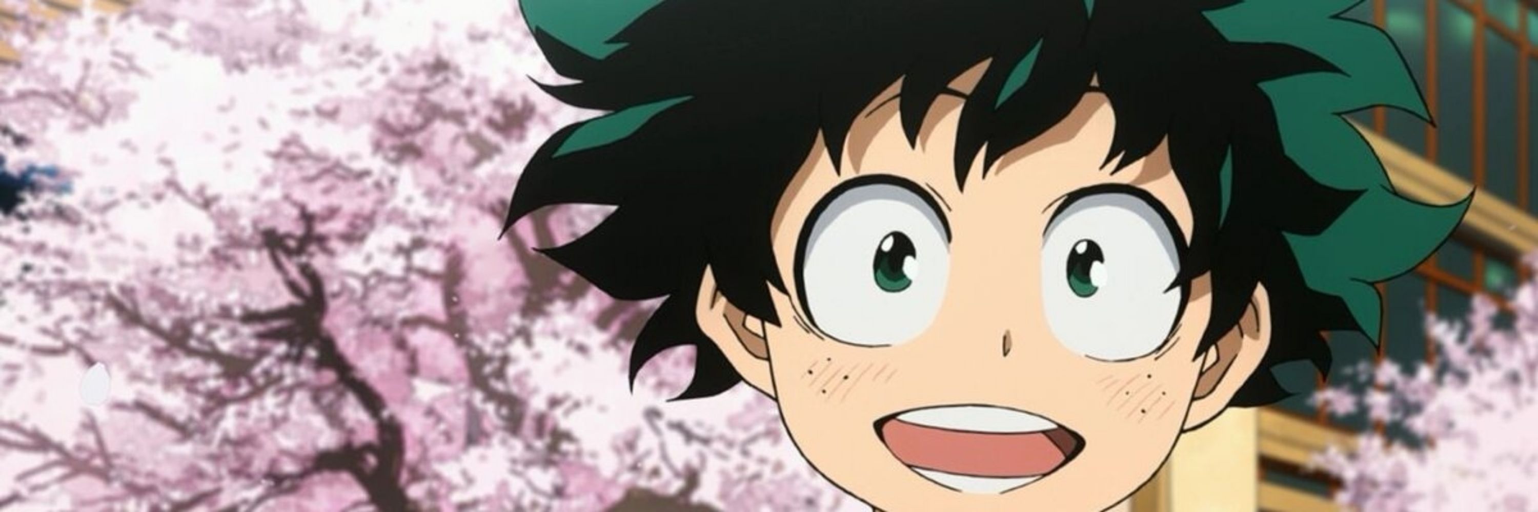 Izuku Midoriya (will)