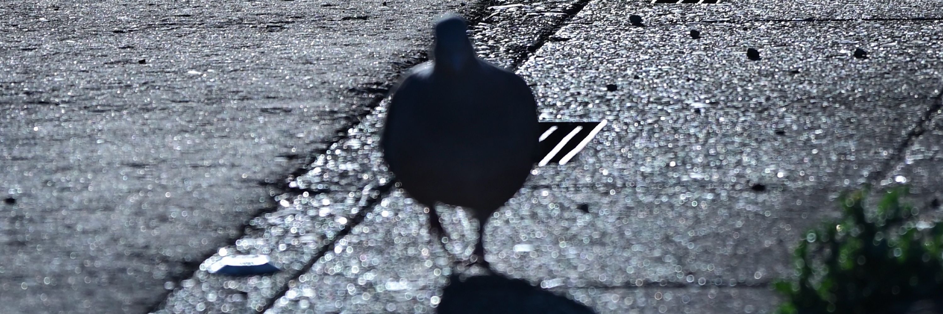 ふんふん