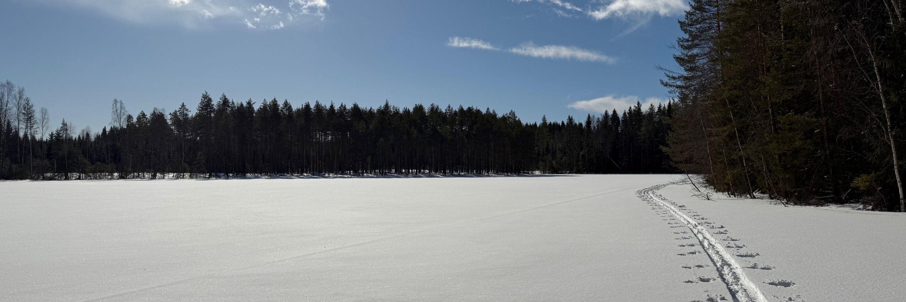 Sini Ihanainen-Alanko