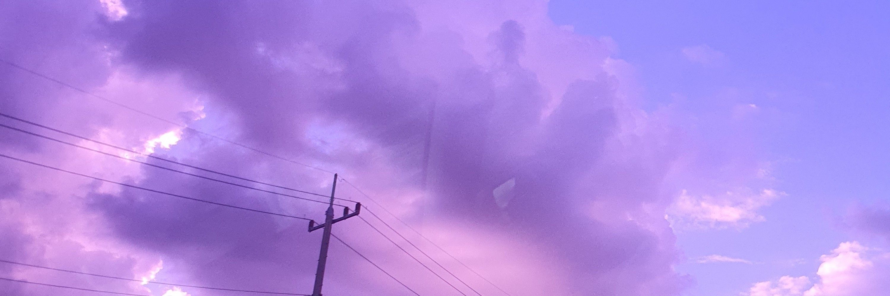 김뱁새