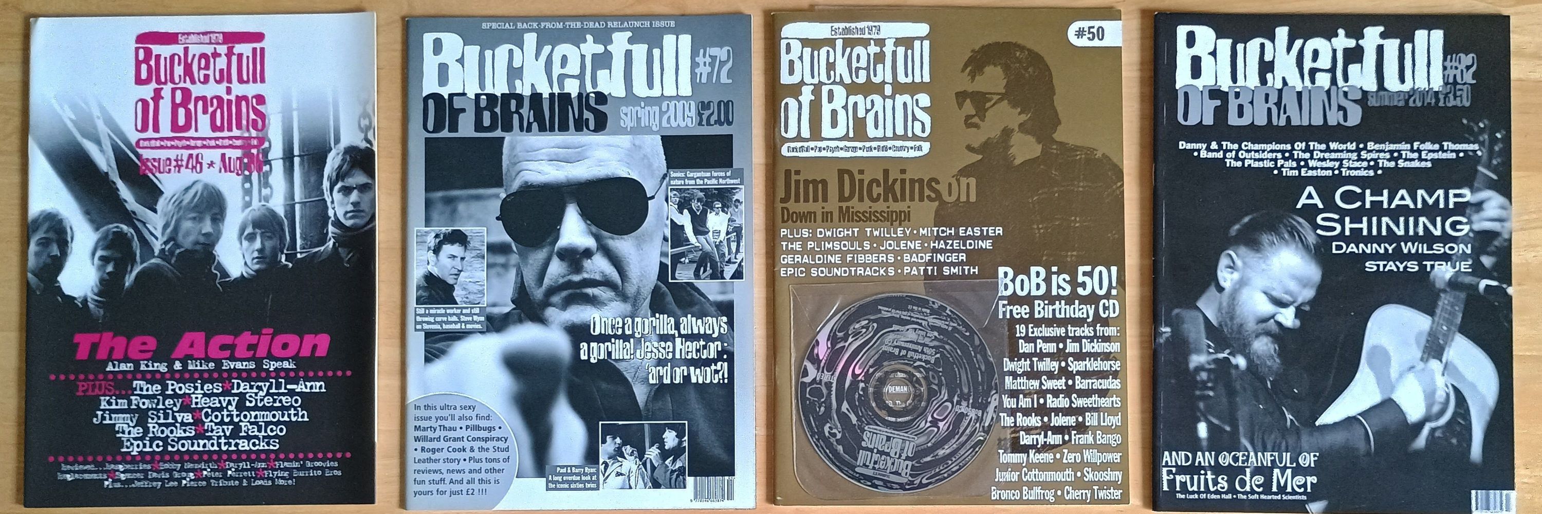 Bucketfull Of Brains 