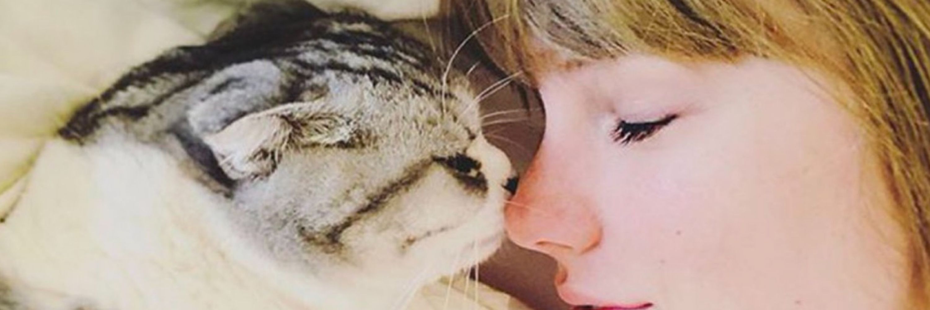amay ☆ SAW TAYLOR AND SEEING GRACIE AGAIN