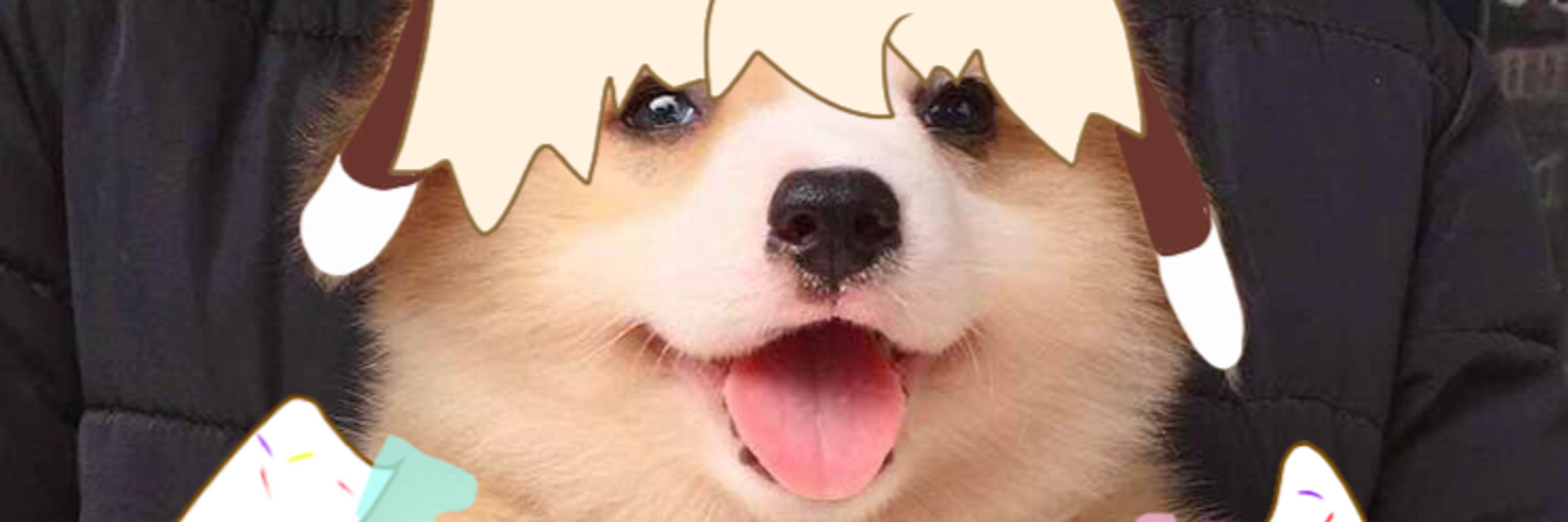 barkifyings