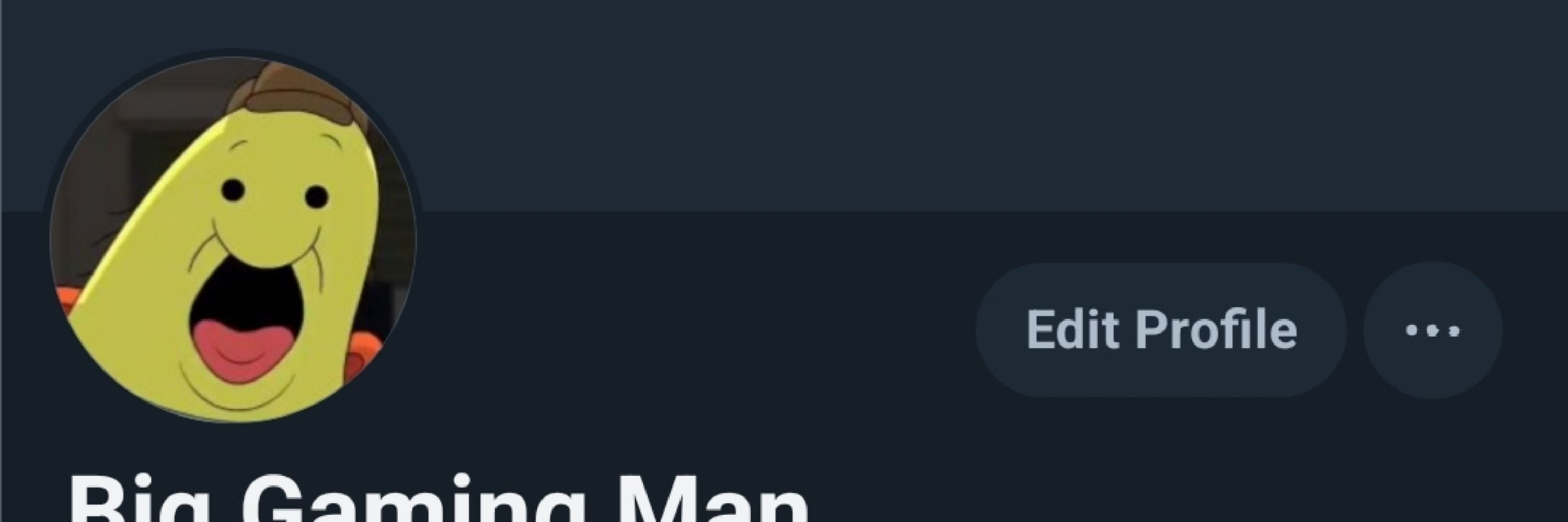 Big Gaming Man