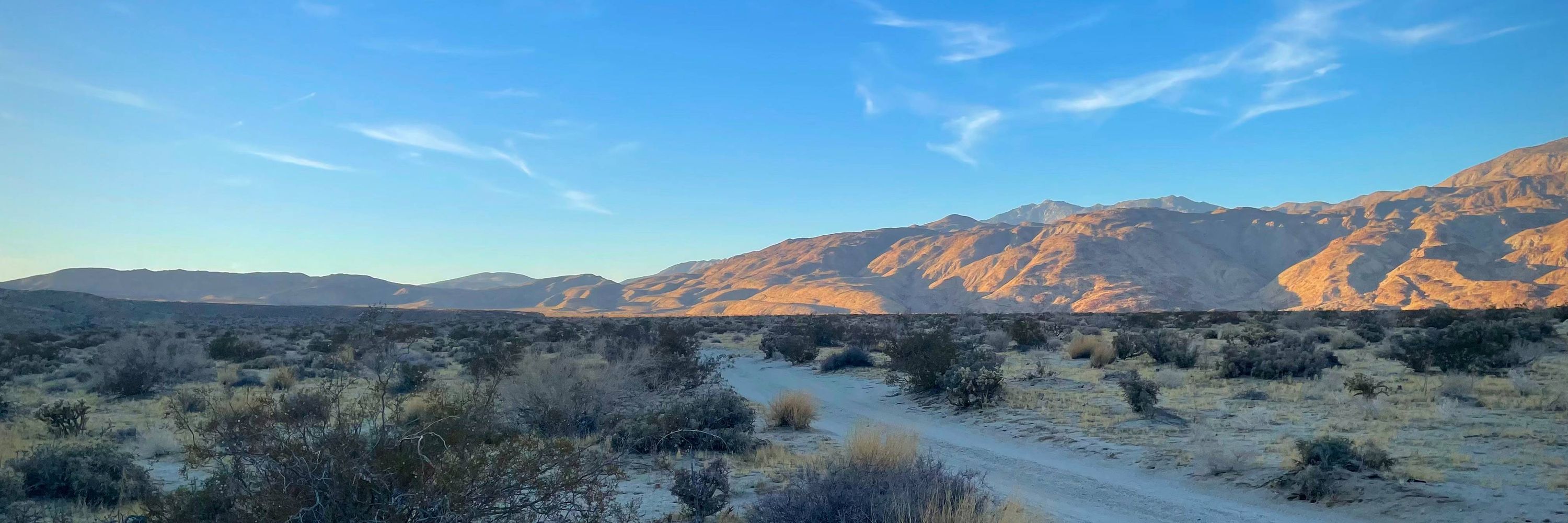 Desert Mountain Apothecary