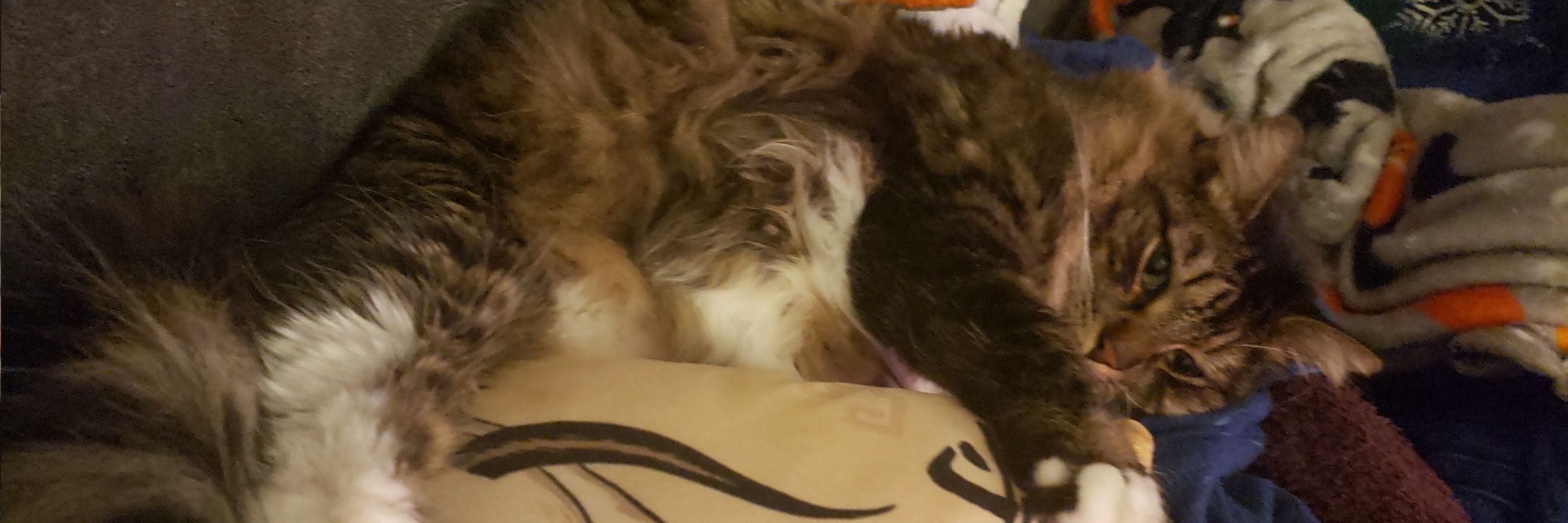 Patch