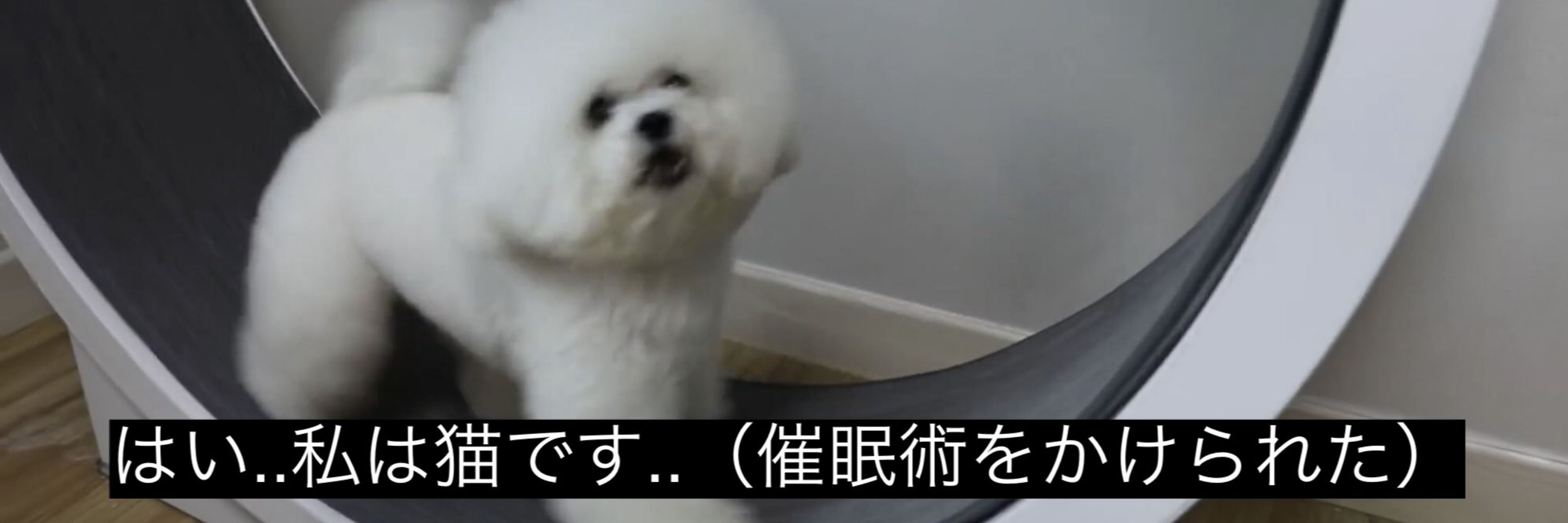 ゆーなぎ
