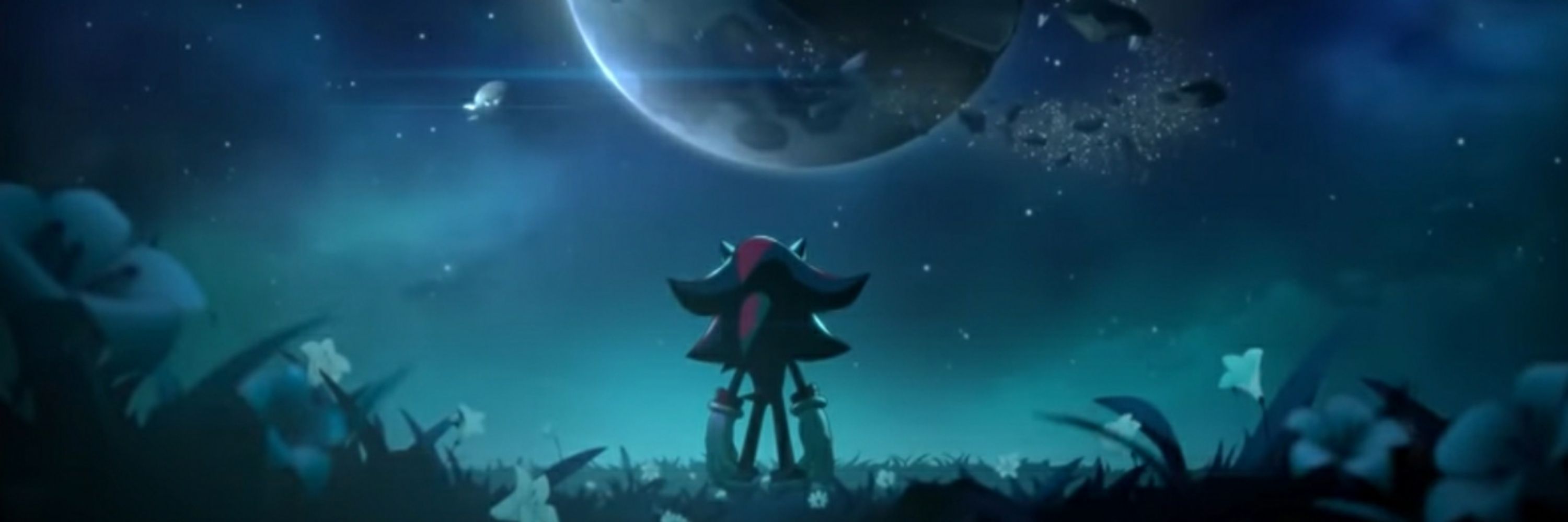 Shadow the Hedgehog (hc)