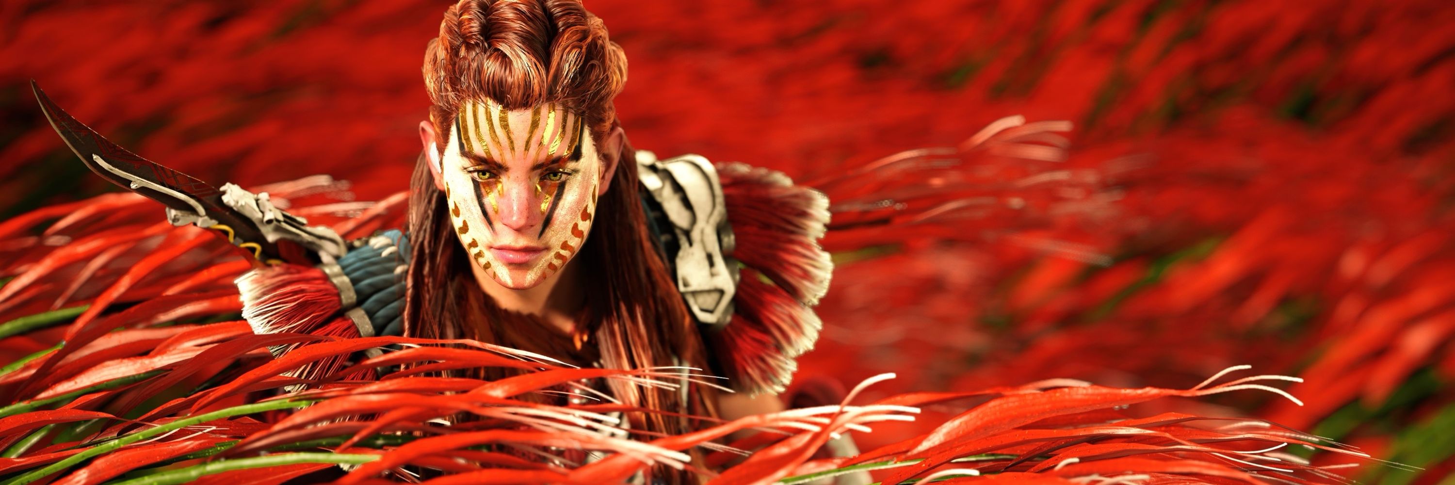 DP_Dwarf