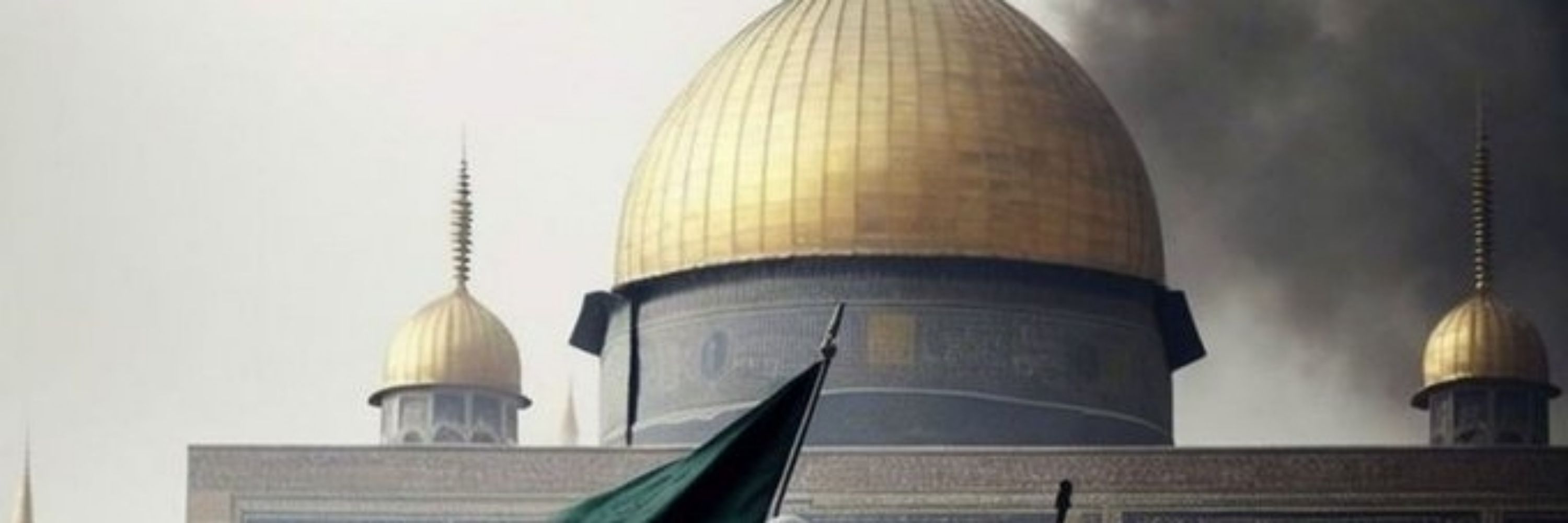 محمد ناصت
