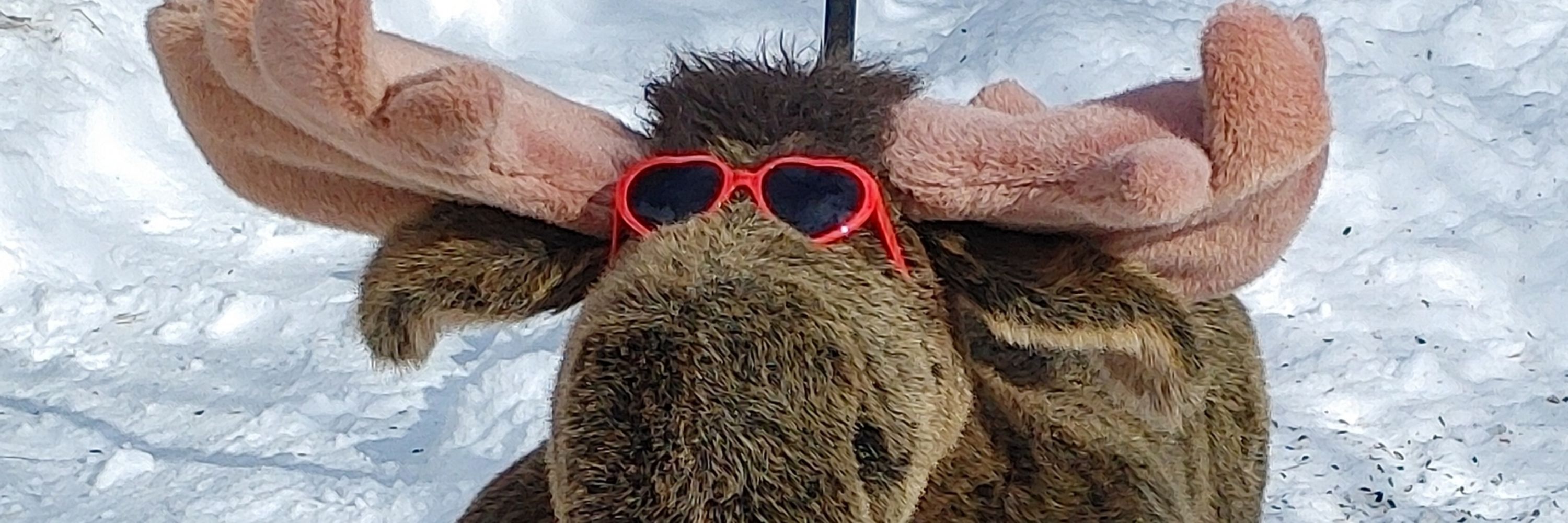 Purple Moose Sock Company 🇨🇦
