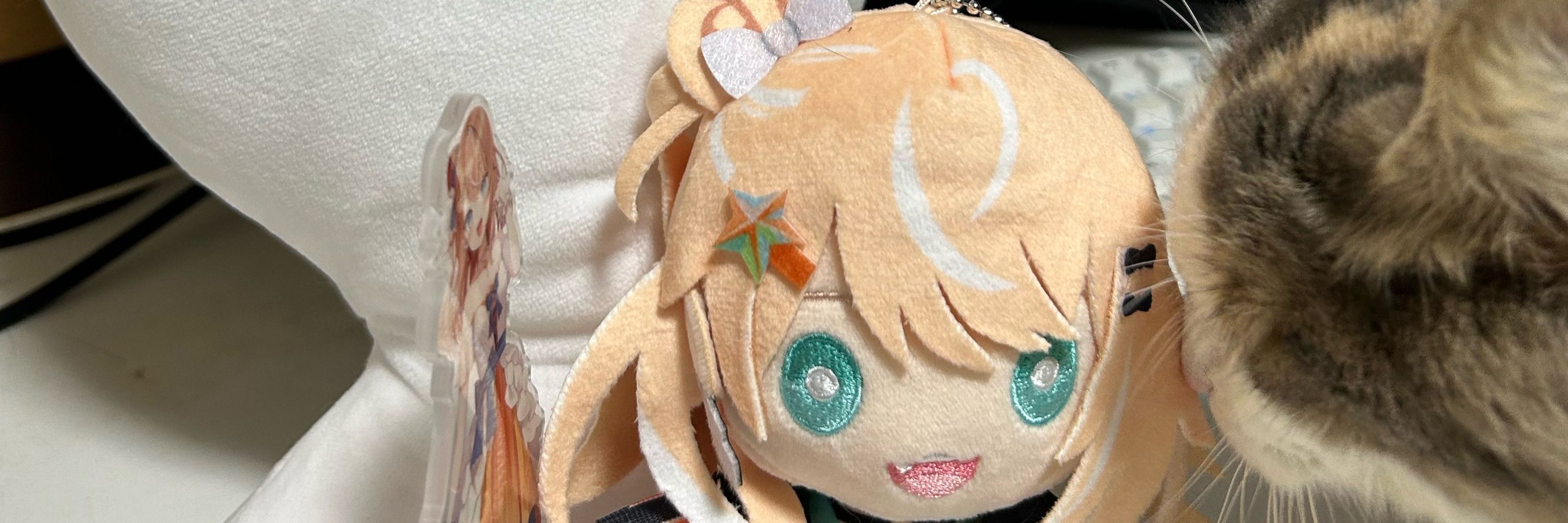 向かいのトロロ